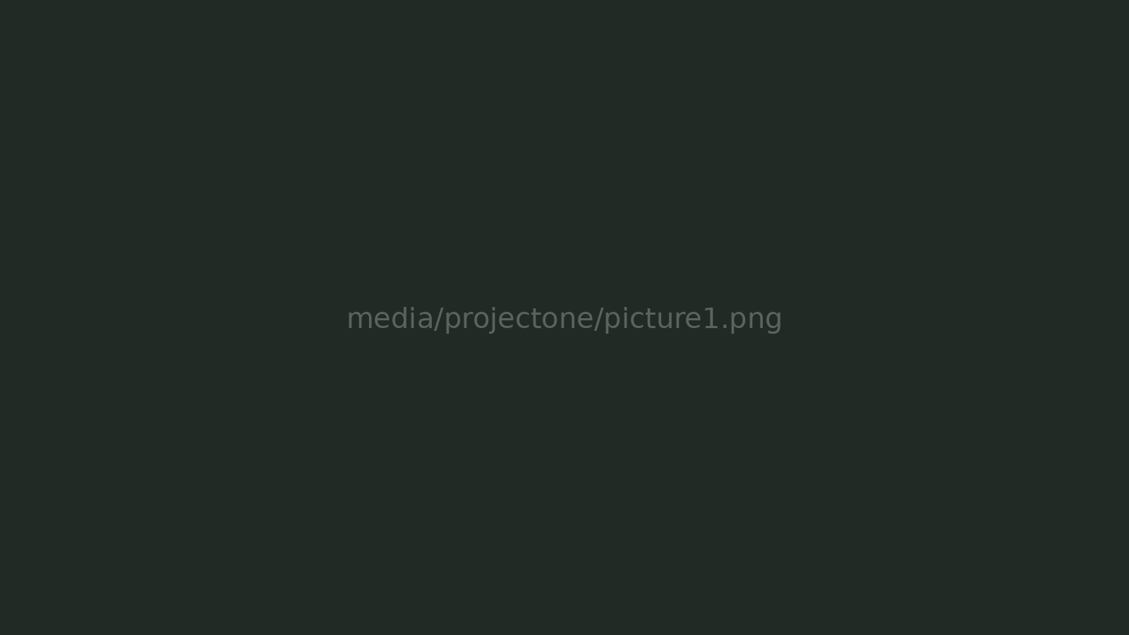 Project One picture 1
