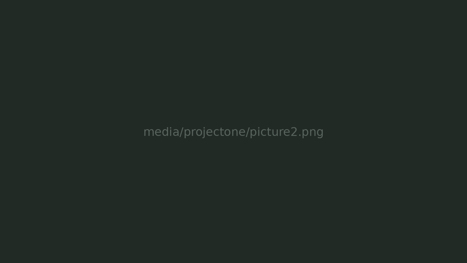 Project One picture 2