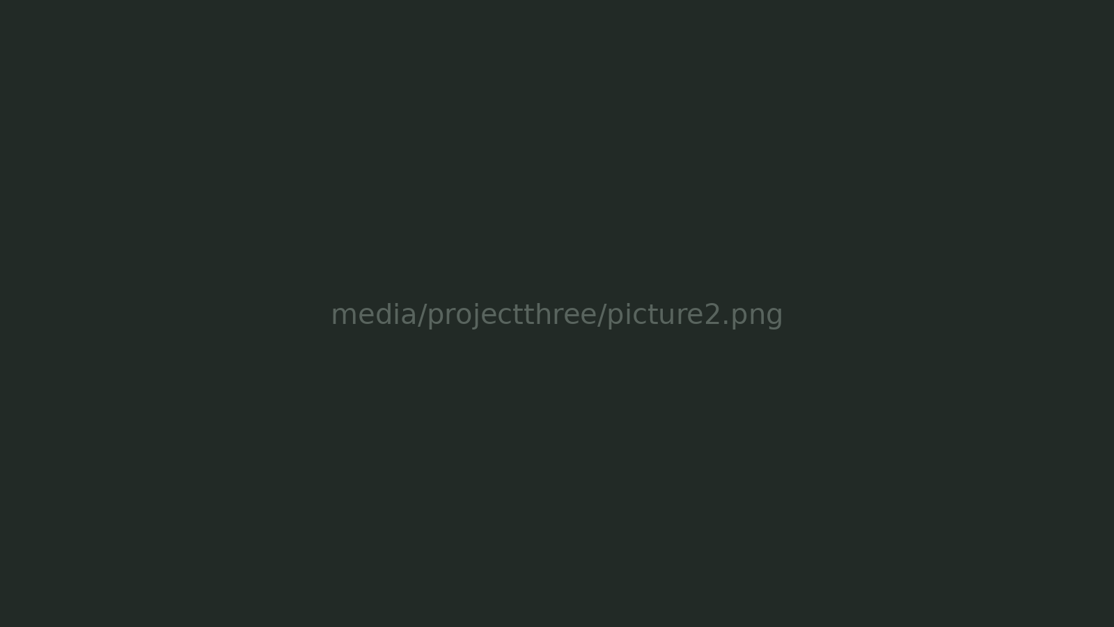 Project Three picture 2