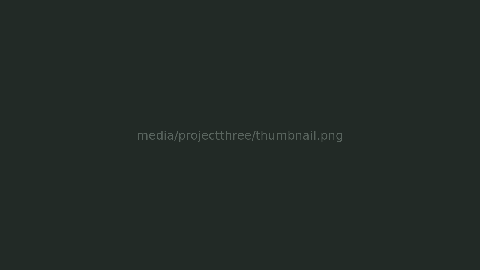 Project Three